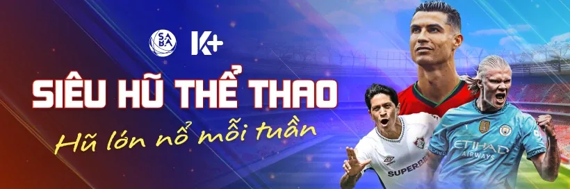 Kiểm tra thực tế và lịch sử hoạt động